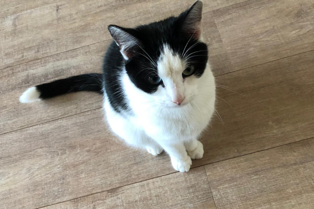Mimi
