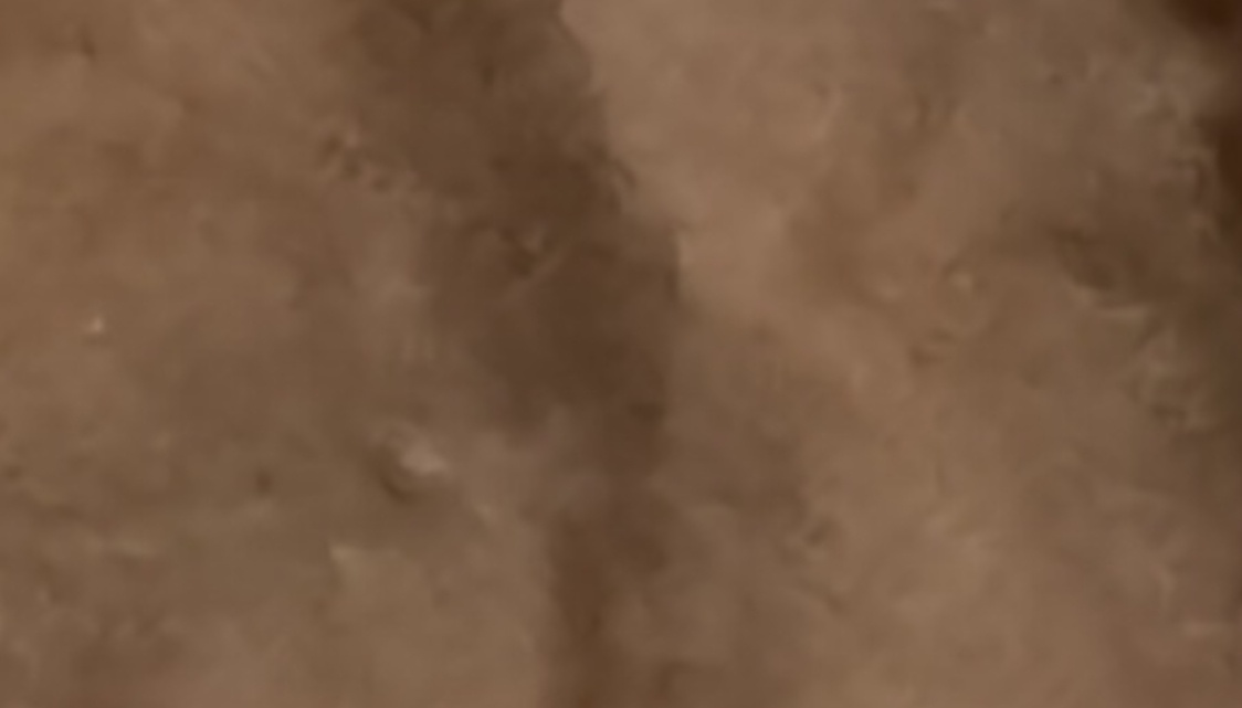 Louisa Adriana Visser