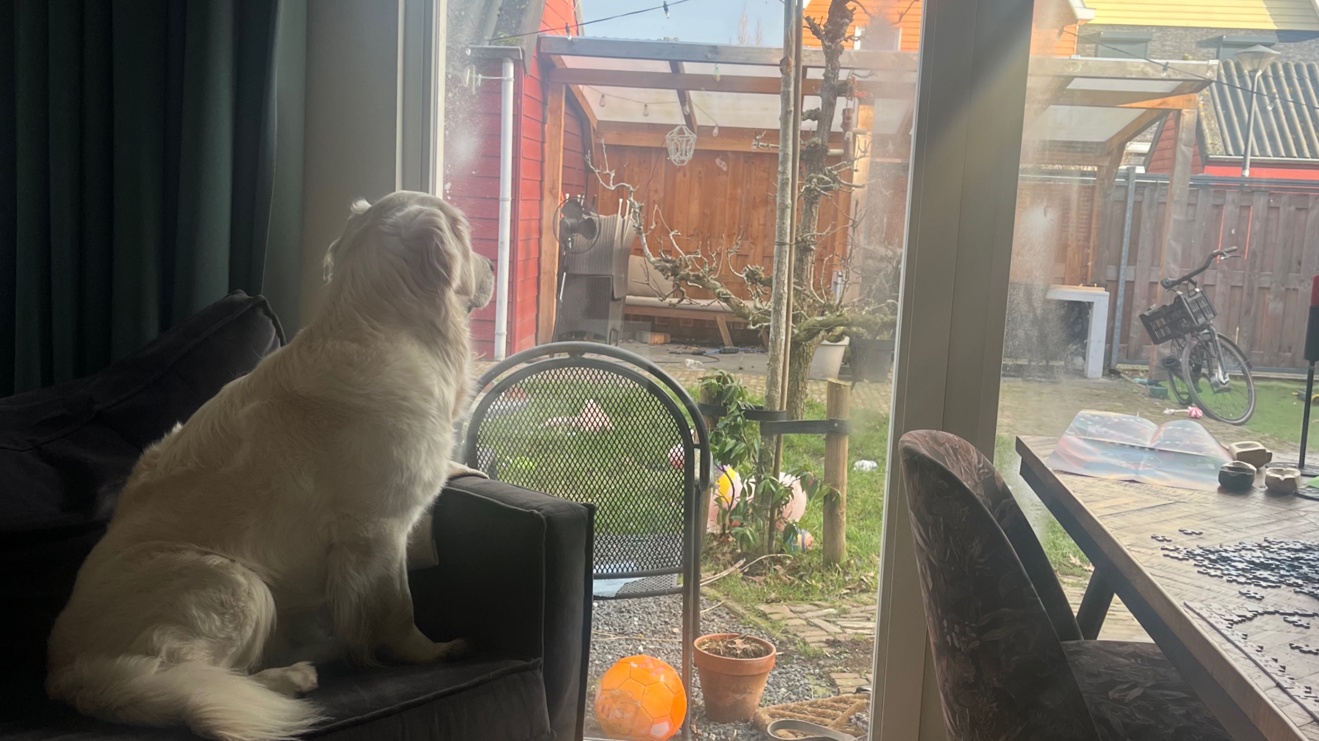 Yvonne de Loos- Marcus