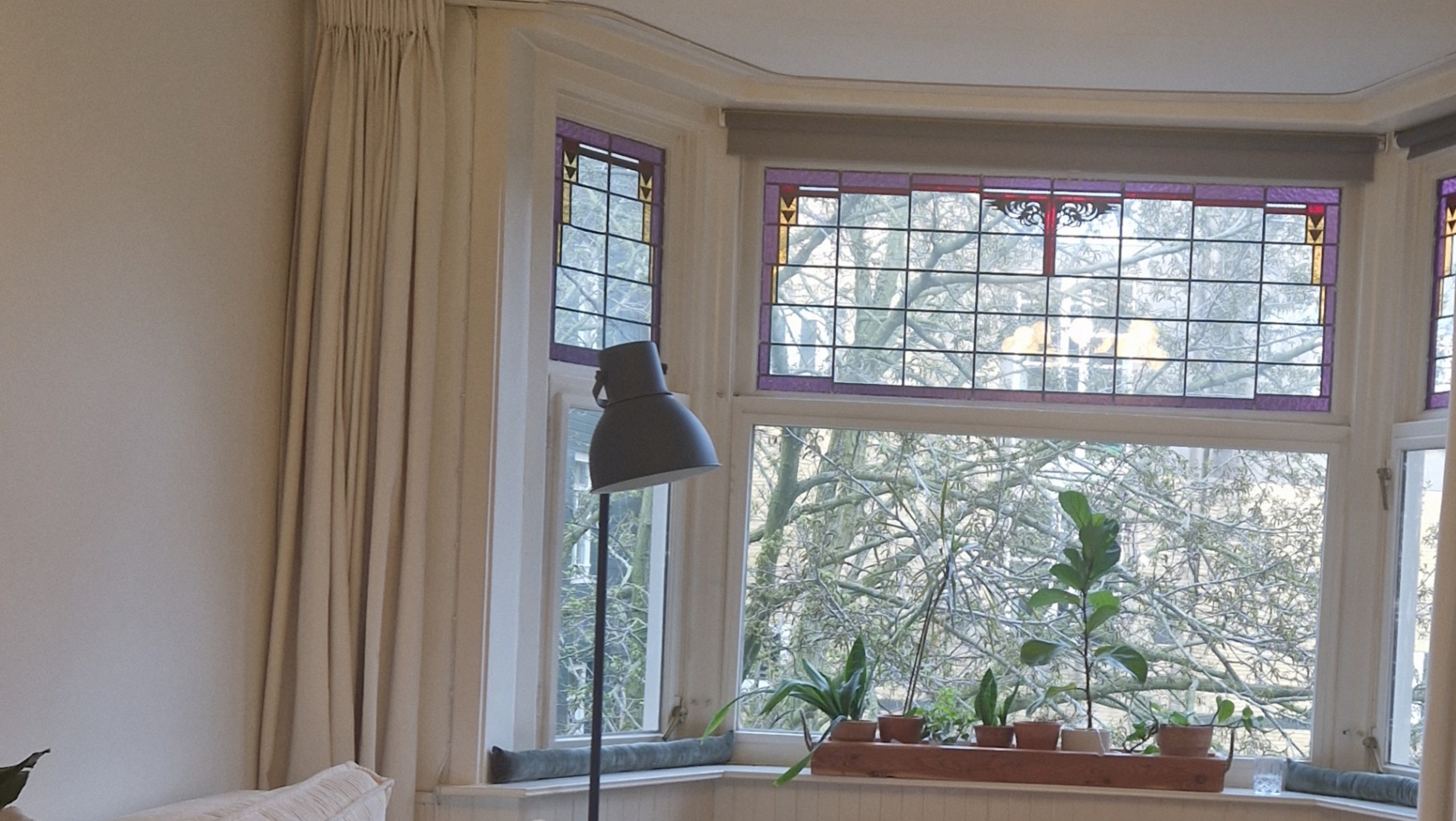 Vera Neven scharnigg