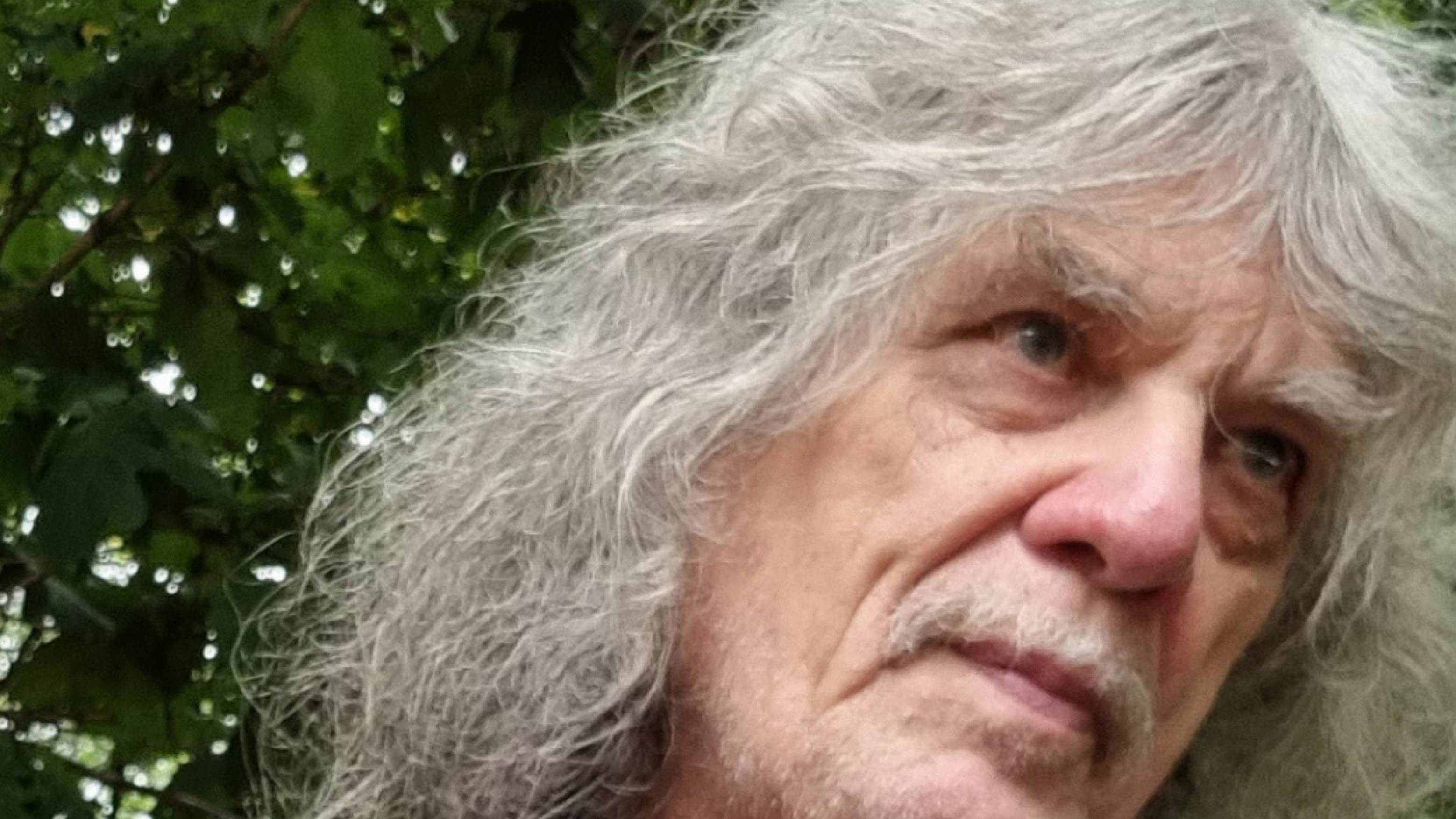 Theo den blanken
