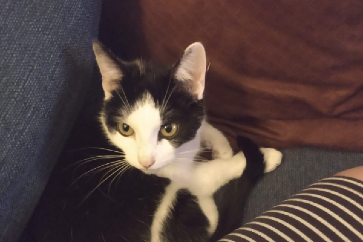 Coco